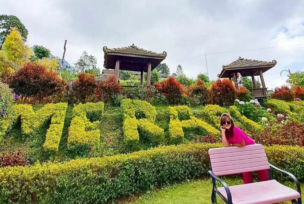 9 Pesona Merapi Garden Selo, Wisata Taman Bunga dengan View Gunung