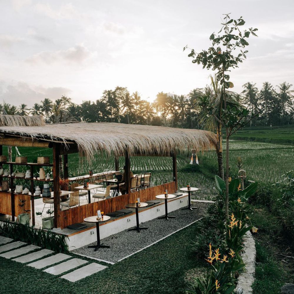 5 Kafe View Sawah di Tegallalang, Bikin Gak Pengin Pulang