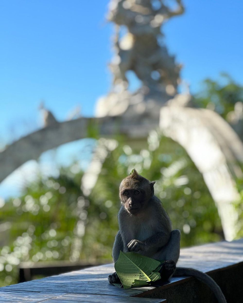 5 Tips Barang Tidak Diambil Monyet di Pura Uluwatu