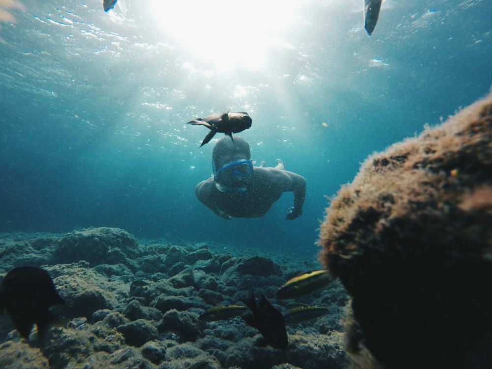 8 Manfaat Snorkeling yang Bisa Bikin Kamu Jatuh Cinta Lautan