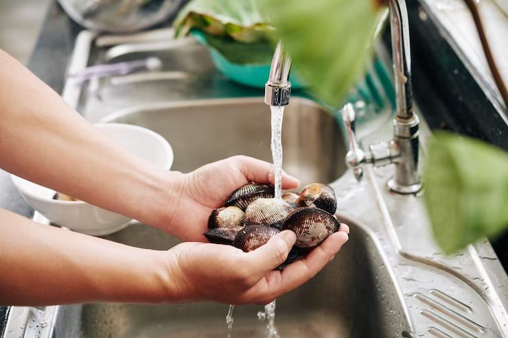 Tips Mengolah Tutut Atau Keong Sawah