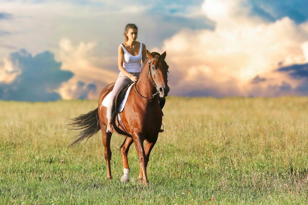 5 Alasan Mengapa Kuda adalah Teman Terbaik Manusia