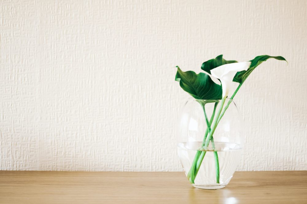 5 Tips Membuat Bunga Potong Bertahan Lama Menurut Ahli, Praktikkan!