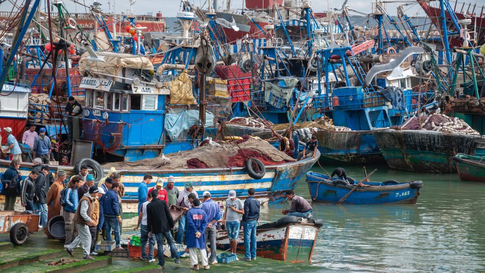 Usulan Hapus BBM Subsidi Nelayan, Menteri Trenggono: Belum Kepikiran