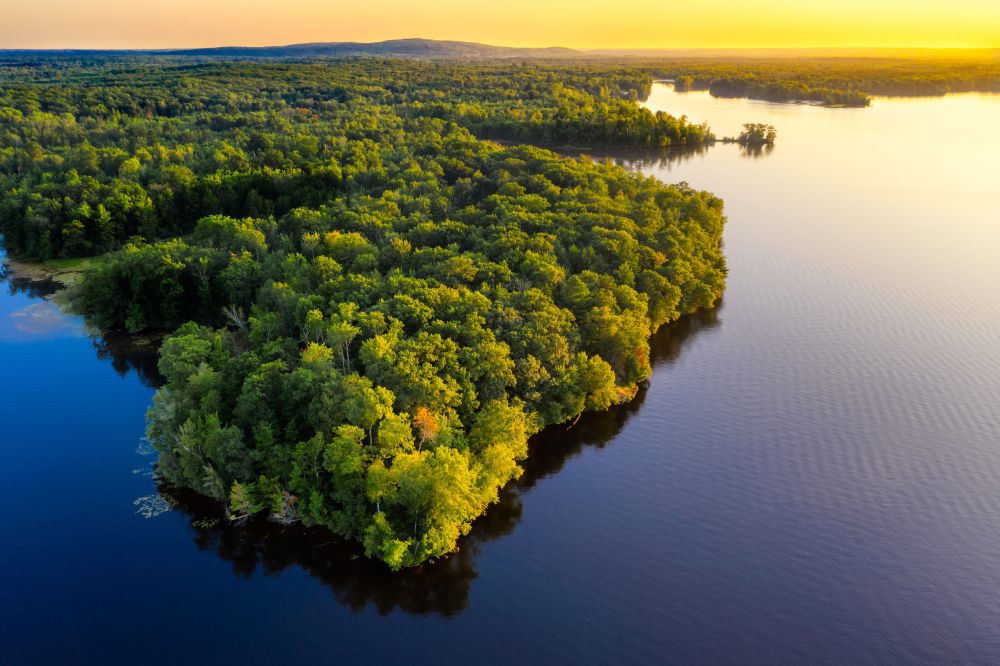 5 Fakta Sungai Amazon yang Perlu Kamu Tahu, Catat!