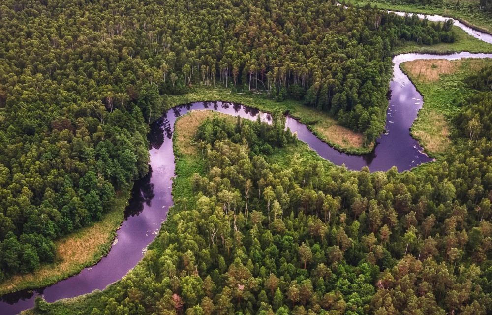 5 Fakta Sungai Amazon yang Perlu Kamu Tahu, Catat!