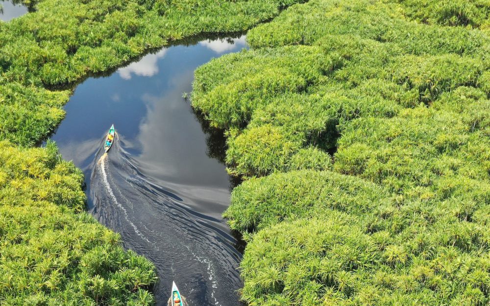 5 Fakta Sungai Amazon yang Perlu Kamu Tahu, Catat!