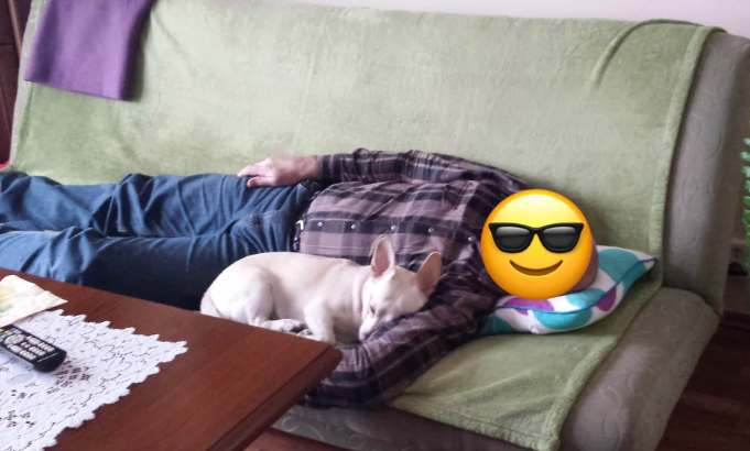 7 Foto Lucu Anjing Ketiduran Dekat Ayah saat Duduk Bareng di Sofa