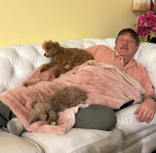 7 Foto Lucu Anjing Ketiduran Dekat Ayah saat Duduk Bareng di Sofa