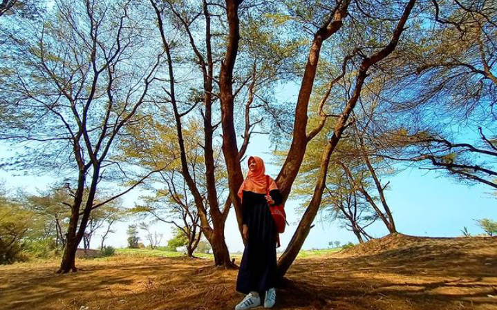 Wisata Pantai Ambal Kebumen: Info Lokasi, Rute, dan Aktivita