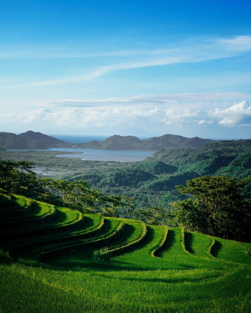 7 Rekomendasi Desa Wisata di Lombok yang Bikin Kamu Nyaman dan Tenang