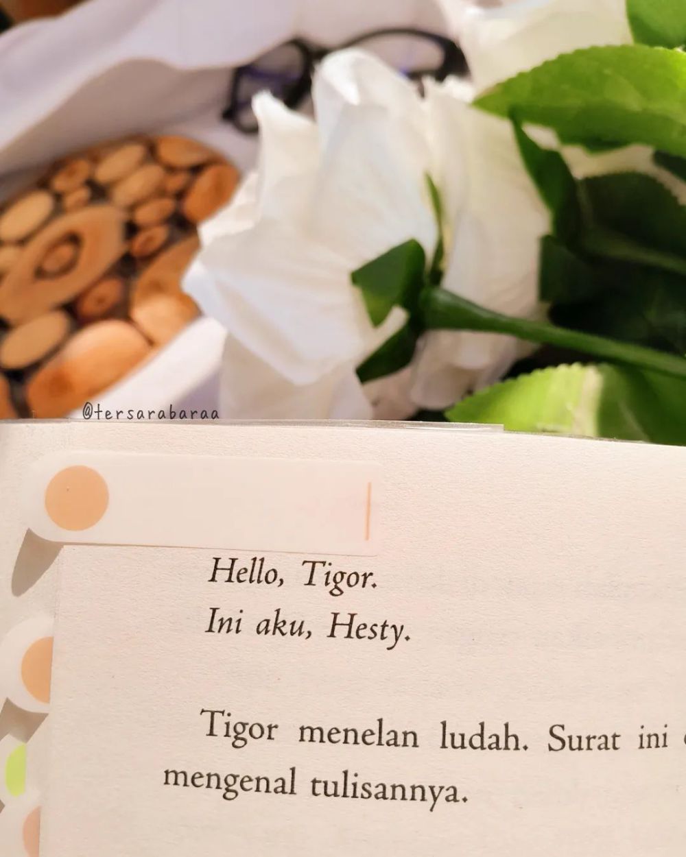 5 Tipe Cinta Setara di Novel Hello Karya Tere Liye, Heartwarming!