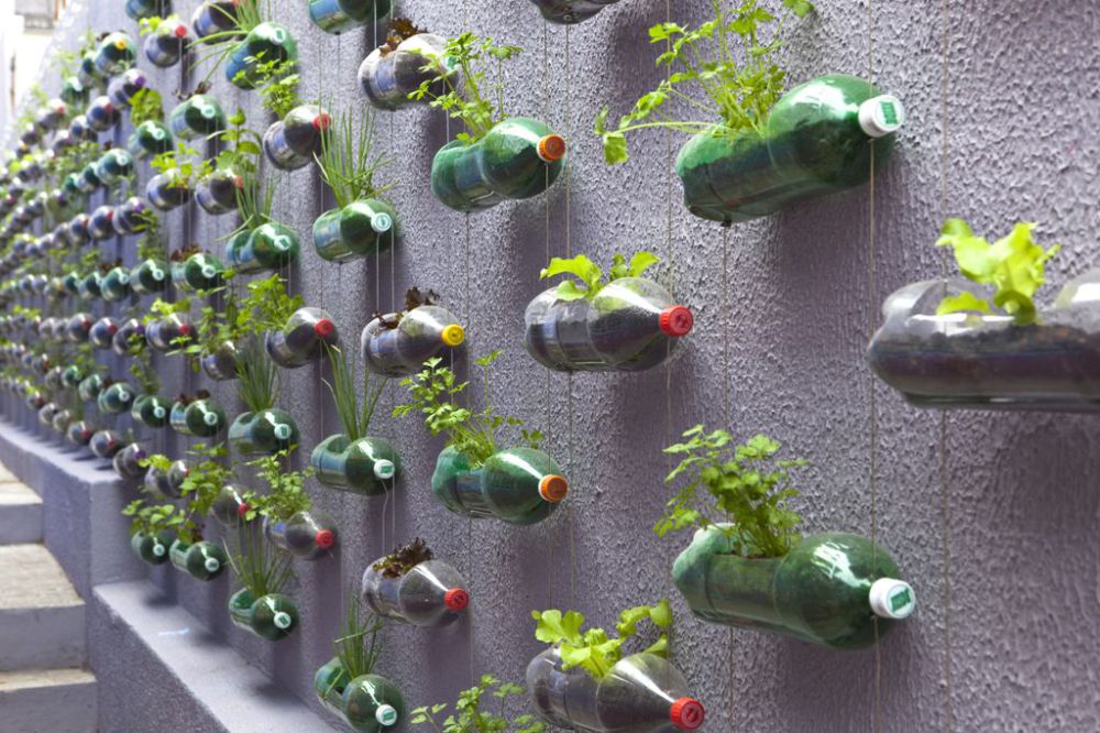 8 Inspirasi Vertical Garden dari Botol Plastik Bekas, Ramah di Kantong