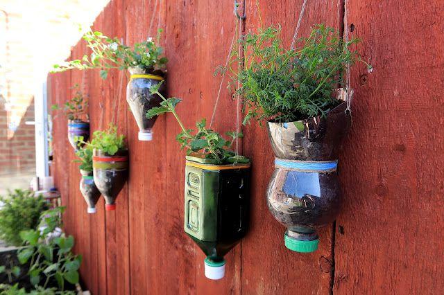 8 Inspirasi Vertical Garden dari Botol Plastik Bekas, Ramah di Kantong