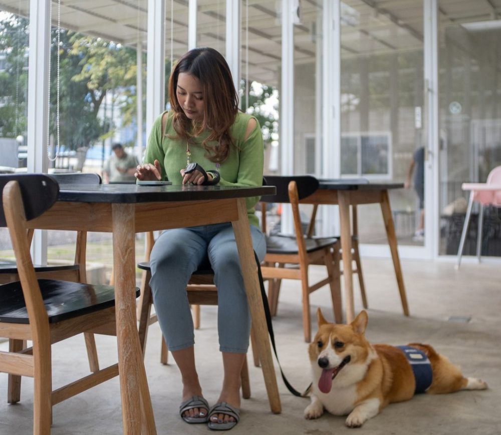 7 Kafe Pet Friendly di Semarang, Healing Bareng Hewan Kesayangan