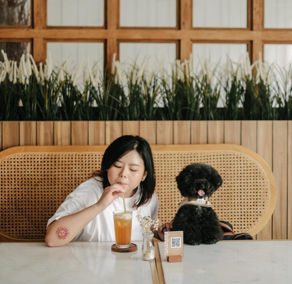 7 Kafe Pet Friendly di Semarang, Healing Bareng Hewan Kesayangan