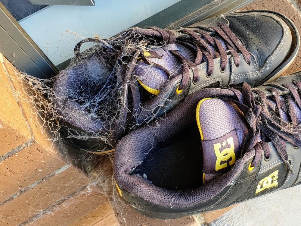 8 Momen Apes Sepatu Rusak Parah, Gak Ketolong Lagi
