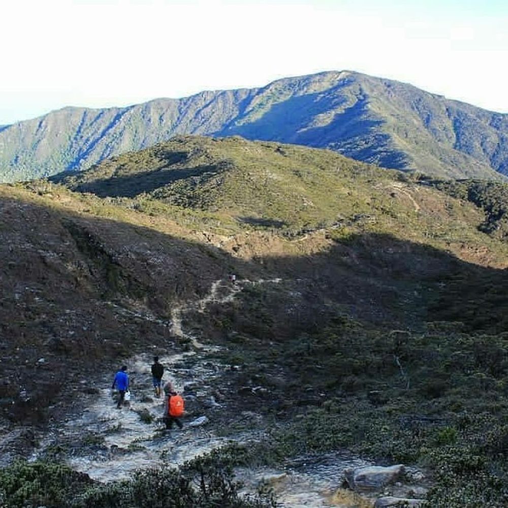 Mengenal 6 Puncak Gunung Tertinggi di Sulawesi Selatan