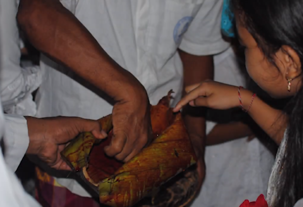 Makna Ritual Basmerah di Bali, Penetral Penyakit Pancaroba