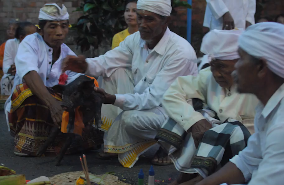 Makna Ritual Basmerah di Bali, Penetral Penyakit Pancaroba