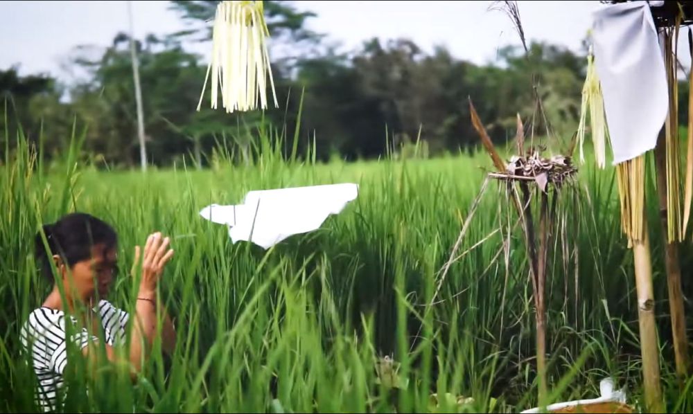 Makna Upacara Biyukungkung, Menghormati Padi di Tabanan