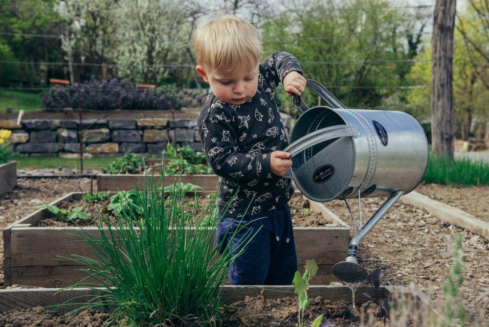 5 Tahapan Memulai Berkebun dengan Metode Permakultur