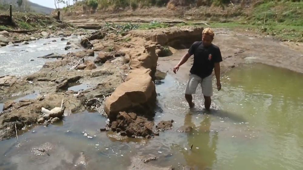 Setiap Hari, 100 Ton Kotoran Sapi Dibuang ke Sungai Kenyang Ponorogo