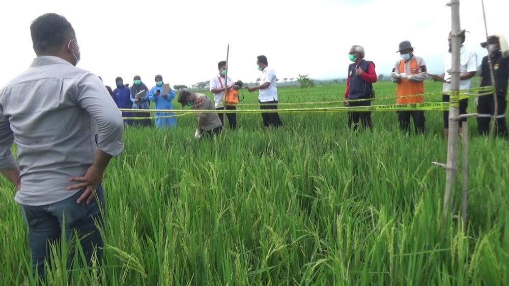 Cekcok dengan Istri, Seorang Pria di Ngawi Ditemukan Tewas di Sawah