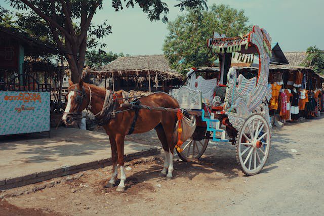 10 Tranportasi Darat dalam Bahasa Jawa, Pernah Naik yang Mana?