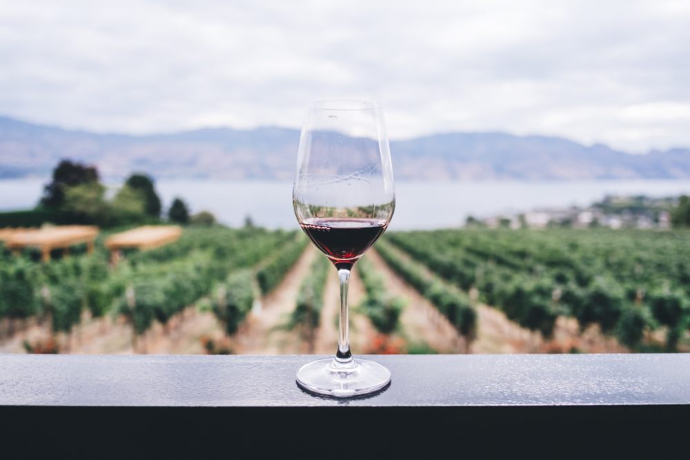 5 Fakta tentang Minuman Wine, Punya Harga yang Mahal!