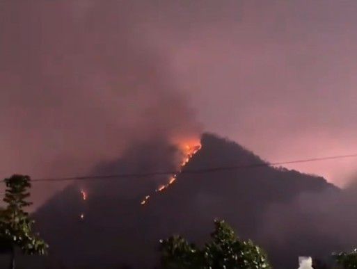Kebakaran Gunung Panderman Sudah Hanguskan 3,5 Hektare Hutan