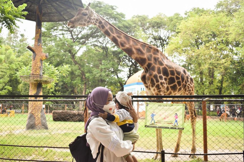 6 Wisata Dekat Stasiun Wonokromo Surabaya, Ada KBS  