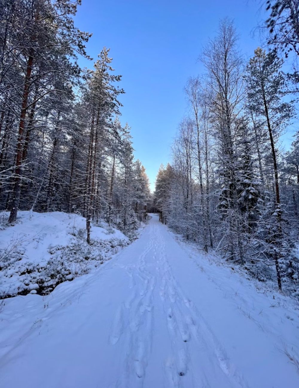 4 Destinasi Wisata Musim Dingin di Finlandia, Panoramanya Mengesankan!