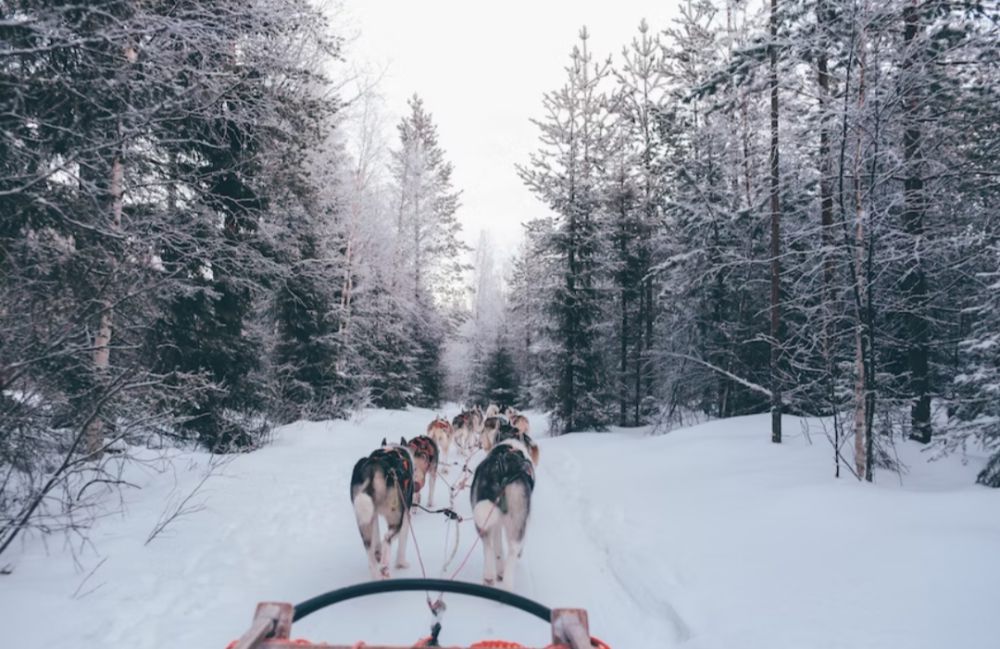 4 Destinasi Wisata Musim Dingin di Finlandia, Panoramanya Mengesankan!