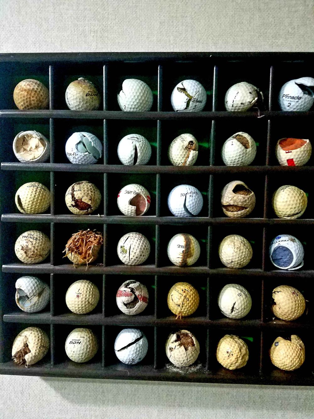 Bola Golf di Batang Pohon dan Kejadian Unik Lainnya 