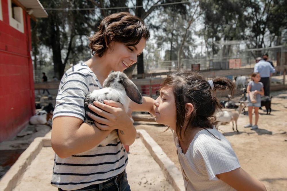 Kondisi Medan Zoo Memprihatinkan, Bobby Janji Akan Perbaiki