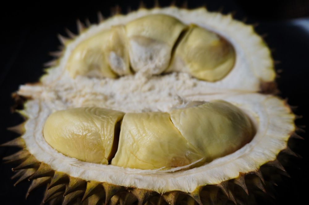 Makan Durian Menyebabkan Kolesterol Naik, Mitos atau Fakta?