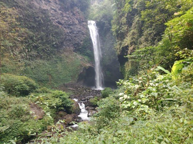 5 Rekomendasi Wisata Air Terjun yang Menawan di Malang Raya