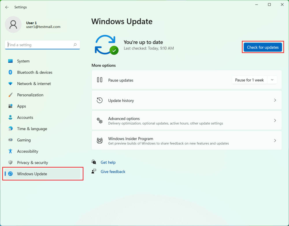 Langkah-Langkah Mudah Untuk Setup Windows 11 Pada Laptop