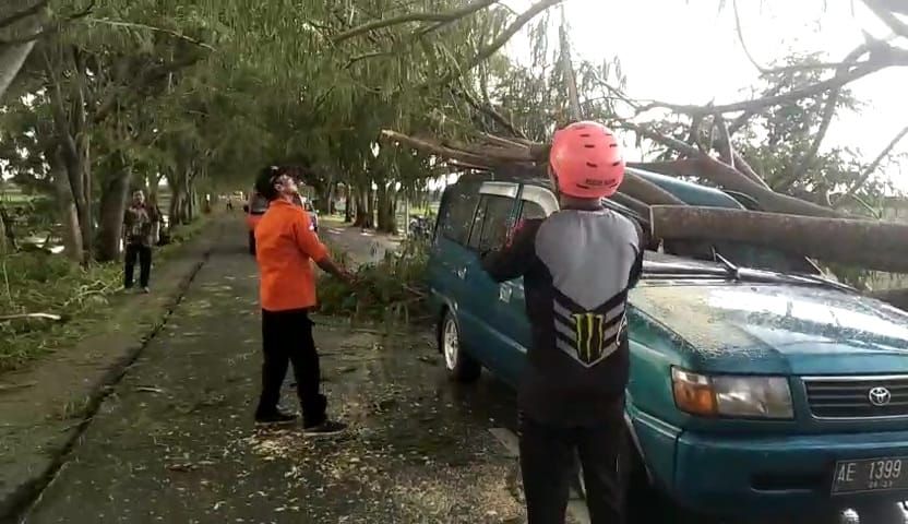 Pohon Tumbang Timpa Mobil dan Bagunan Sekolah TK di Ngawi