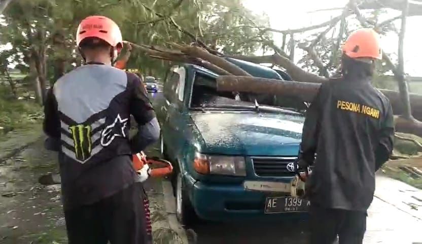 Pohon Tumbang Timpa Mobil dan Bagunan Sekolah TK di Ngawi