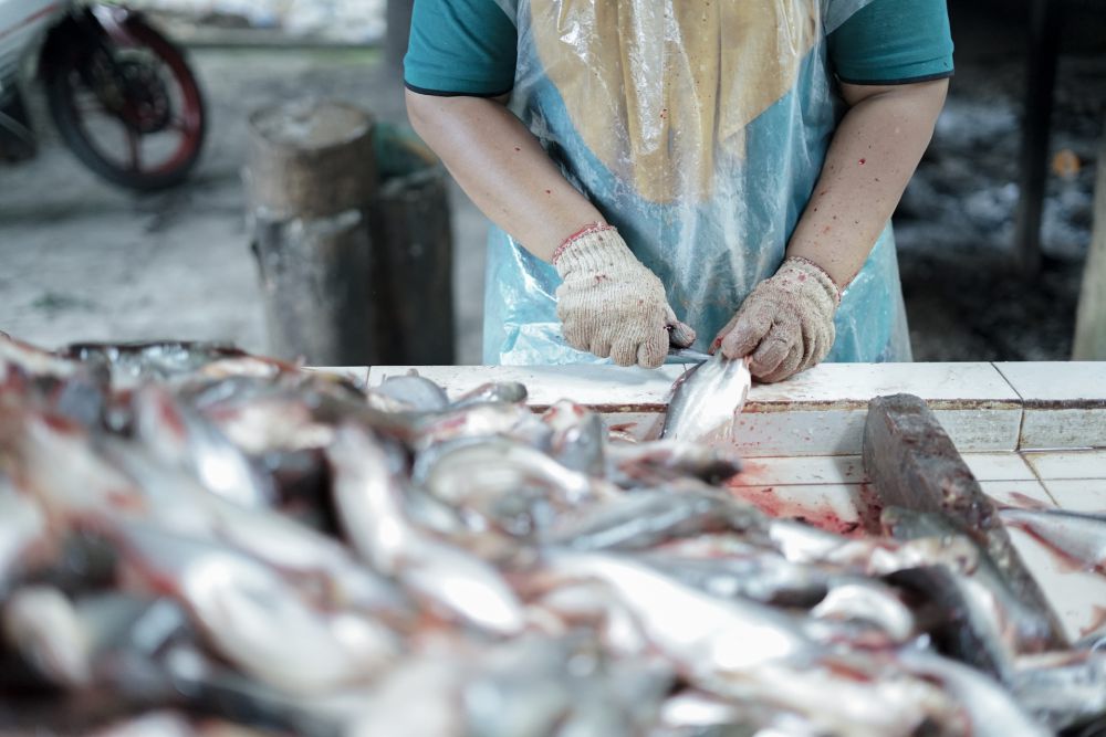 Menu Iwak Pakasam, Ikan Fermentasi dari Kalimantan Selatan