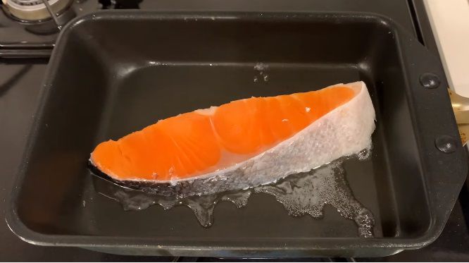 Resep dan Tips Kreasi Bento Salmon Spesial Asli Jepang, Yuk Bikin!