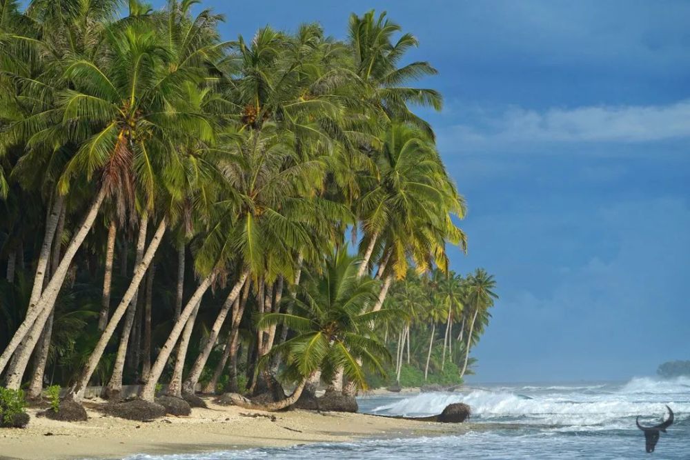 7 Wisata Pantai Paling Eksotis di Sumatera Barat, Mirip Maldives