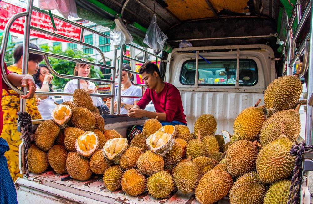 Makan Durian Menyebabkan Kolesterol Naik, Mitos atau Fakta?