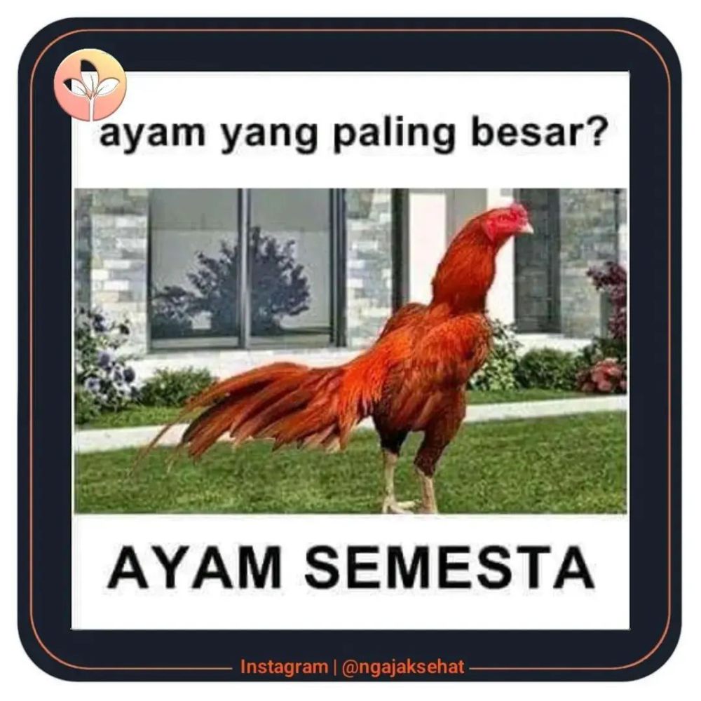 Meme Tebak-Tebakan Ini Receh Banget, Bisa Jawab Gak?