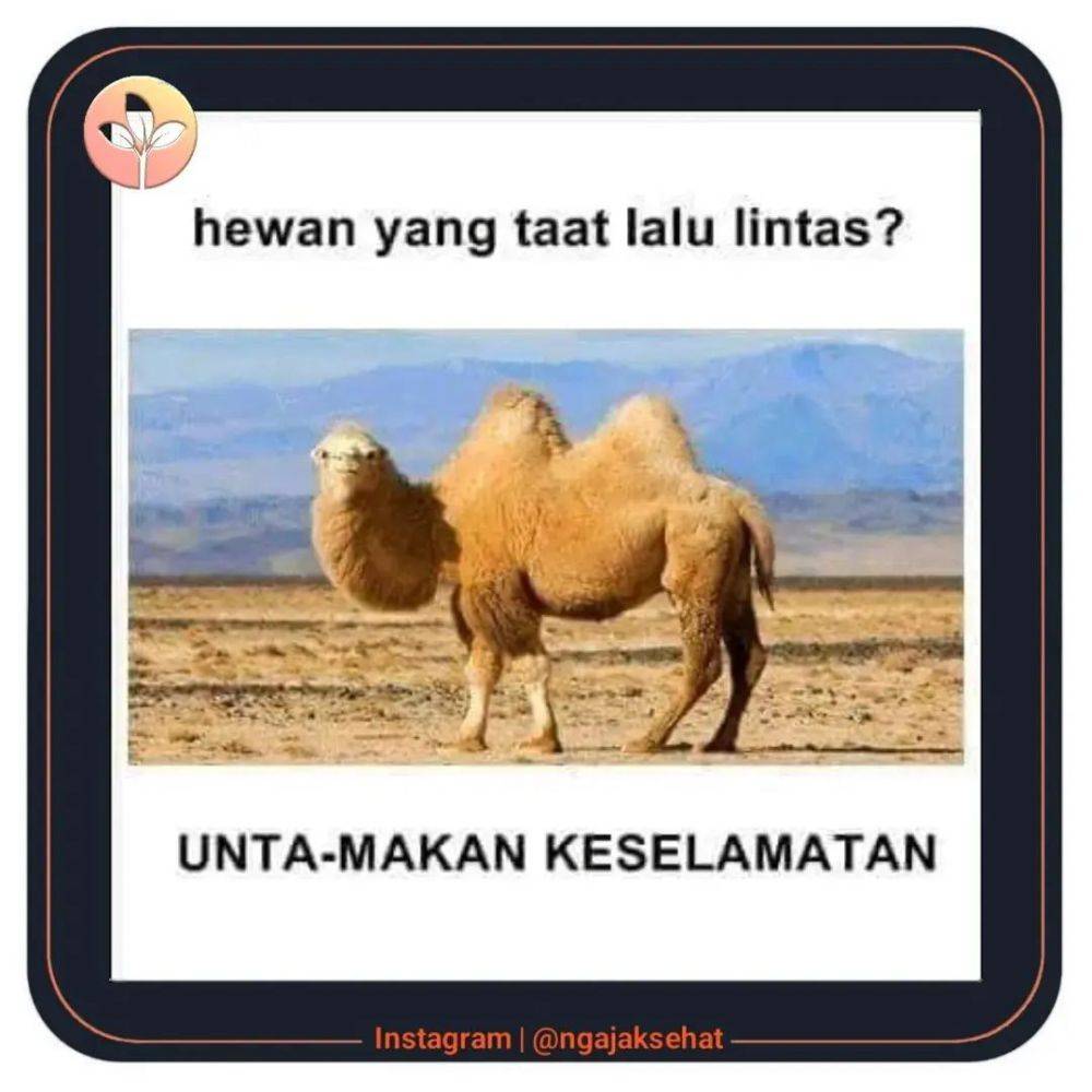 Meme Tebak-Tebakan Ini Receh Banget, Bisa Jawab Gak?