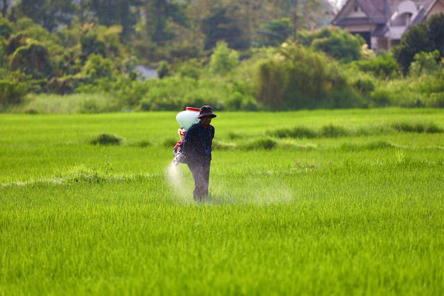 Cerita Zainal Arifin, Petani Milenial Asal Lampung Tengah