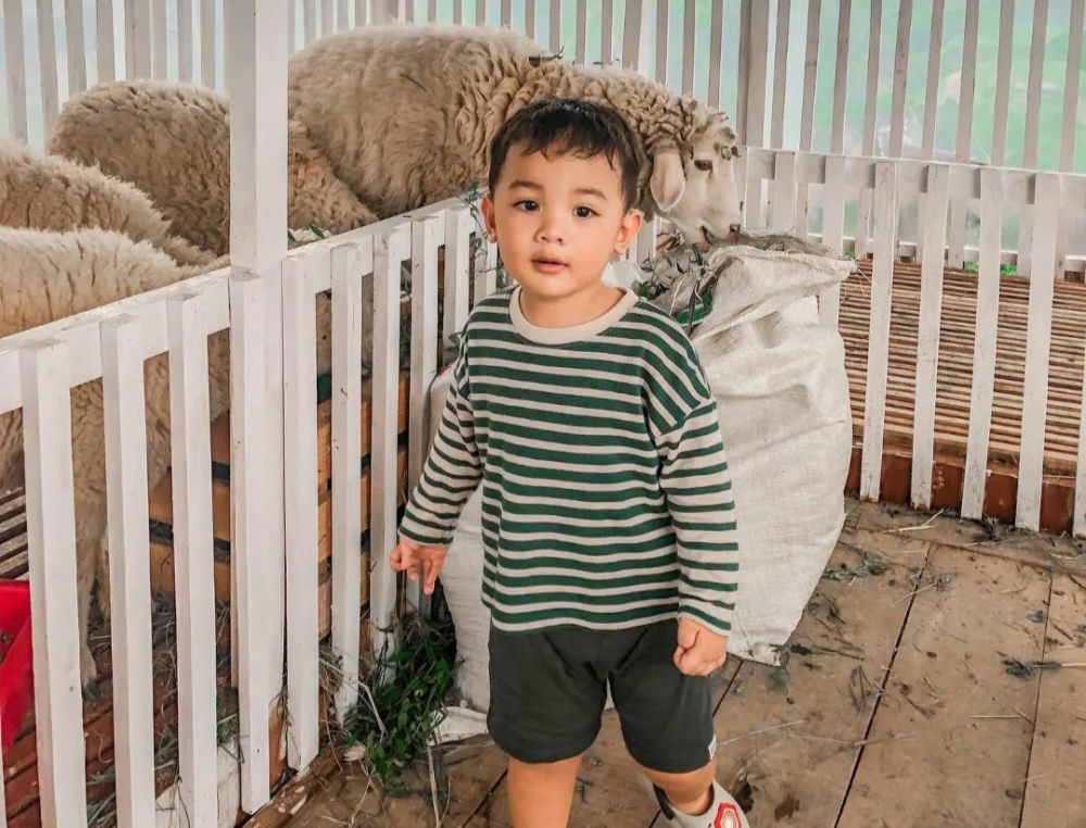 9 Info Domba Lawu, Resto Ramah Anak di Karanganyar
