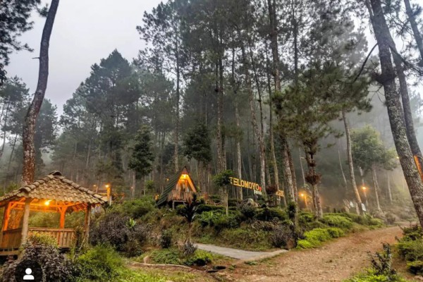 8 Pesona Telomoyo Nature Park, Piknik dan Staycation